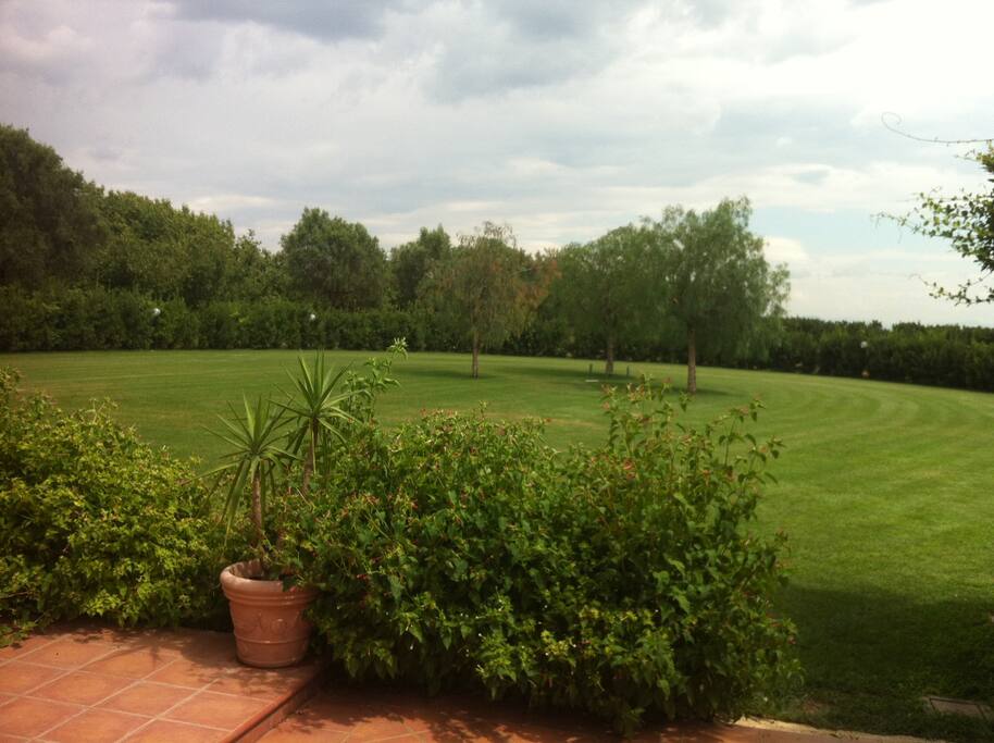 Area a verde