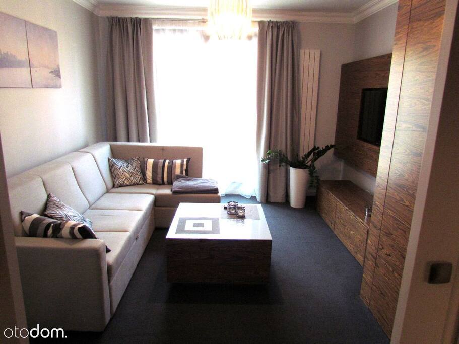 Living Room convertible to bedroom