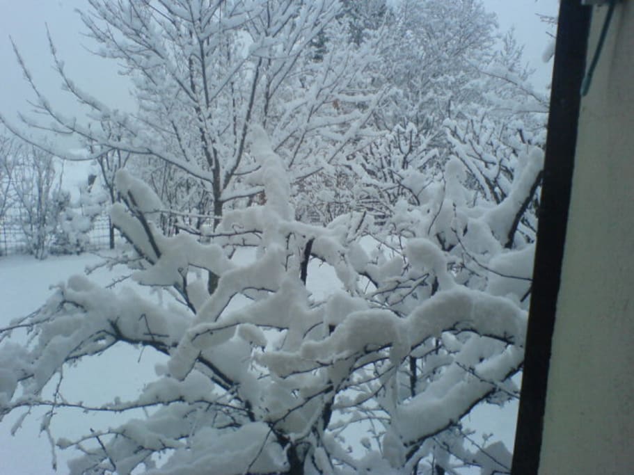 Lorsqu'il neige ...