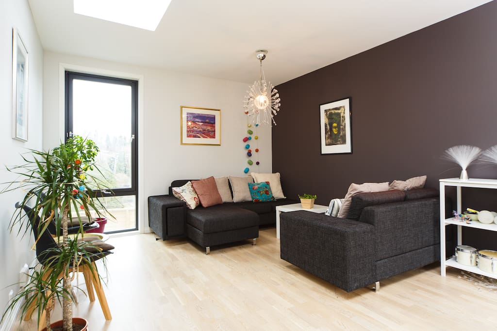 Living room with skylight windows
