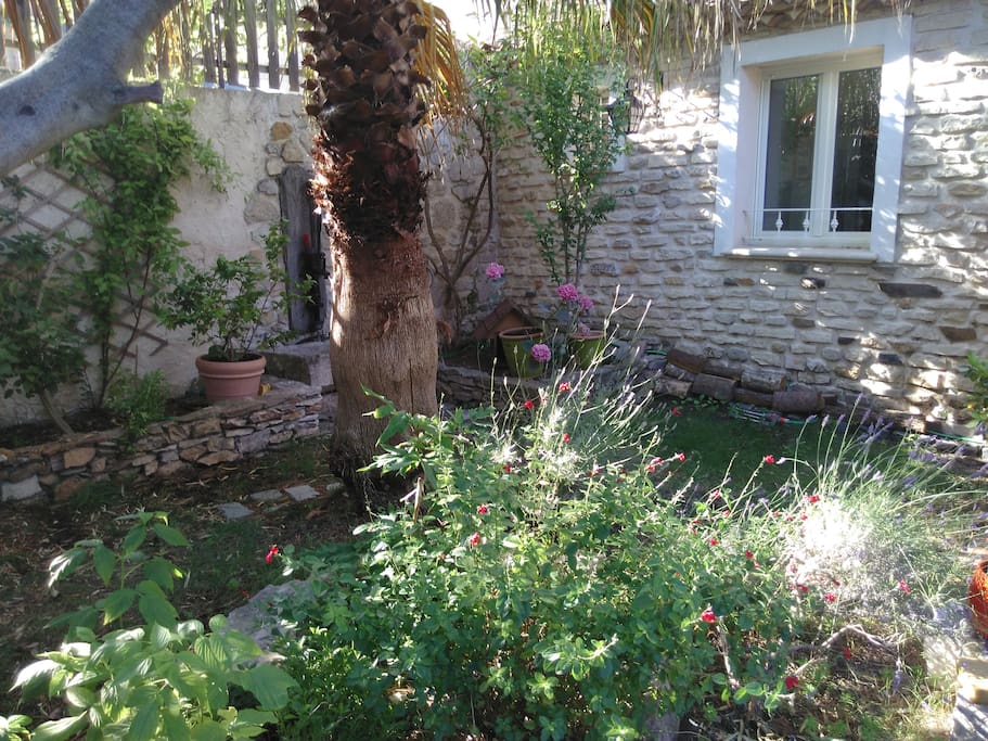 Jardin au sud avec son petit bassin en pierre de Cassis