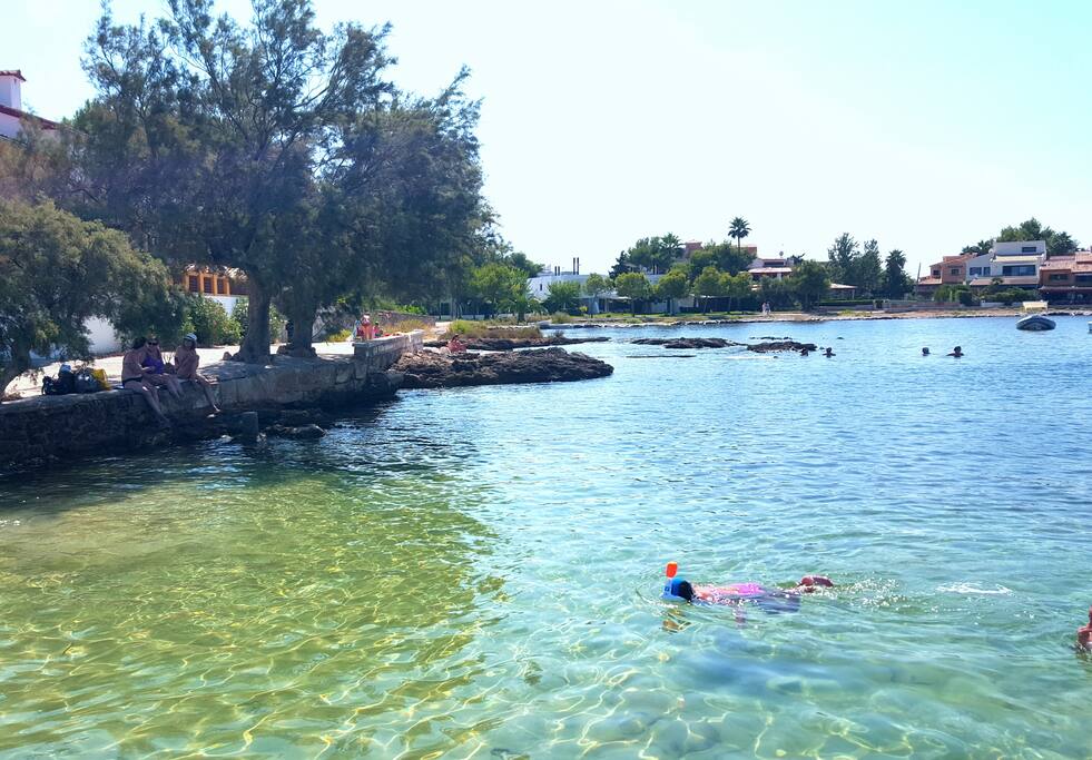 Calas y playas a pocos metros de la casa.