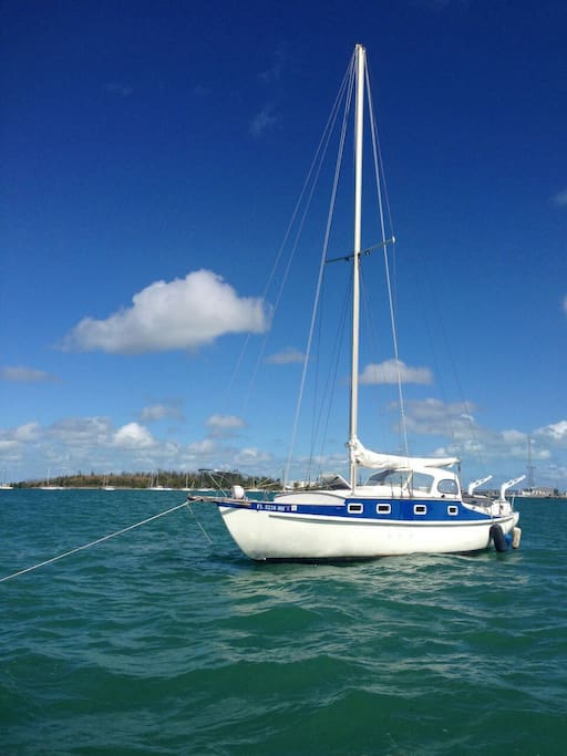 The Amba is waiting for you! Best view and value in Key West! New upgrades to inside cabin! Led lights!