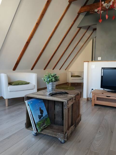 Top Airbnb: "Le Millésime" Gîte in Kaysersberg Vignoble