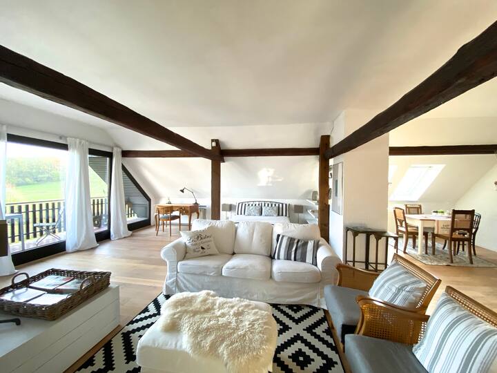 Sebule/chumba cha kulala kilicho na chumba cha kupikia chini ya paa