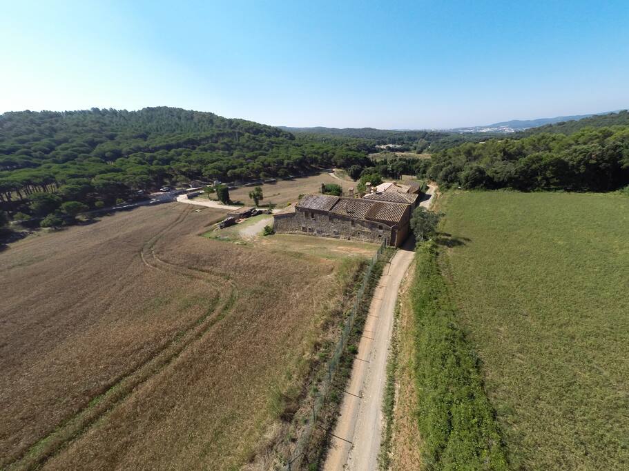 Entorno de la Masía rodeada de naturaleza.