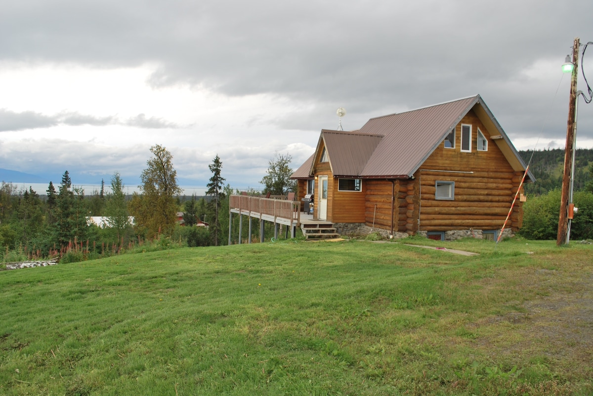 houses for sale in homer alaska