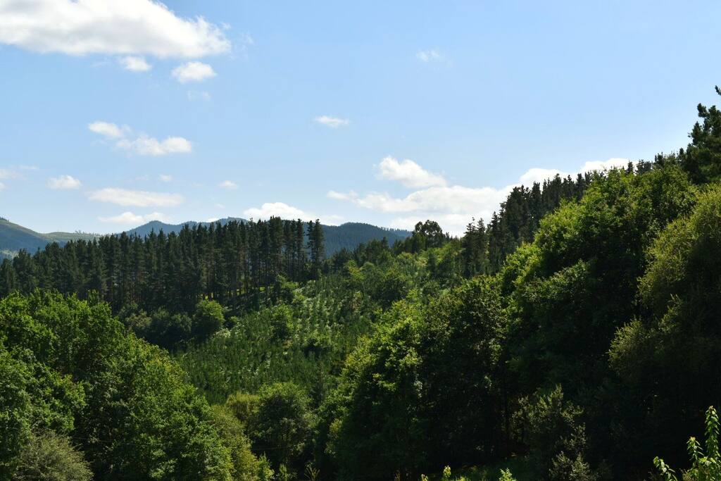 Vista desde la ventana