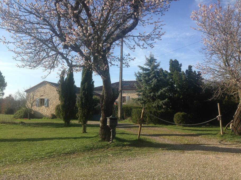 La Bastide en pierres blanches