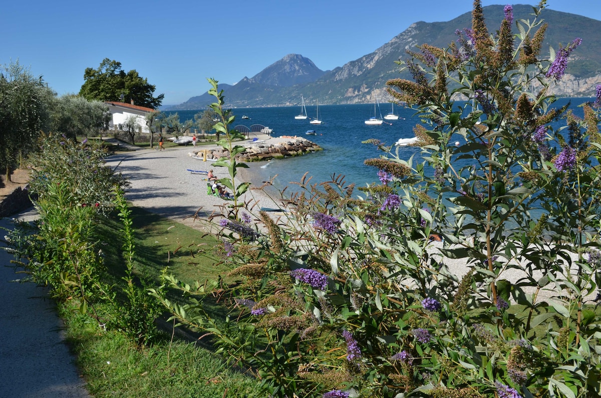 A scenic view of the shoreline features a pebbled beach bordered by vibrant purple flowers and greenery. Calm waters reflect distant mountains, while several sailboats are moored nearby. The area offers space for relaxing by the water and enjoying the natural surroundings.