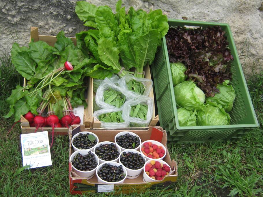 Organic products for the farmers market in Sibiu.
