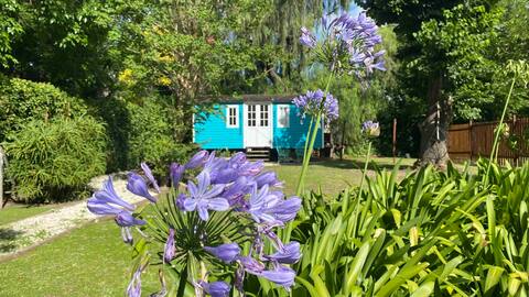 El Aguaribay - The Cabins of City Bell.