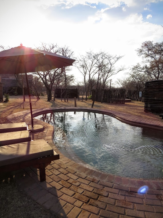 A tranquil outdoor swimming pool is highlighted by a shaded lounge area. Pathways lined with bricks lead to the pool, surrounded by trees that provide a natural setting. Sunlight reflects off the water, creating a serene atmosphere.