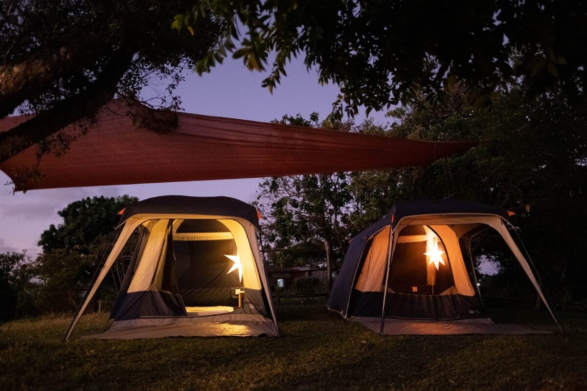 Two spacious tents are positioned beneath a canopy of trees, illuminated by warm lights. A tarpaulin provides additional coverage above, while the natural surroundings enhance the glamping experience. The setting is tranquil as dusk settles in, creating a serene atmosphere for guests.