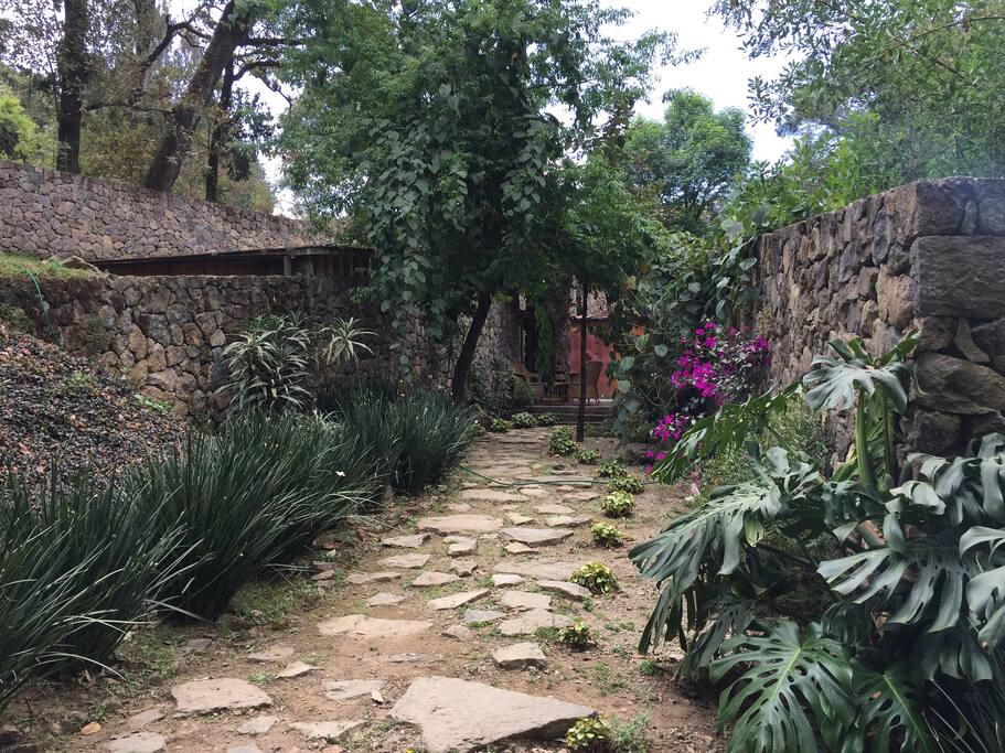 acceso casita x jardín