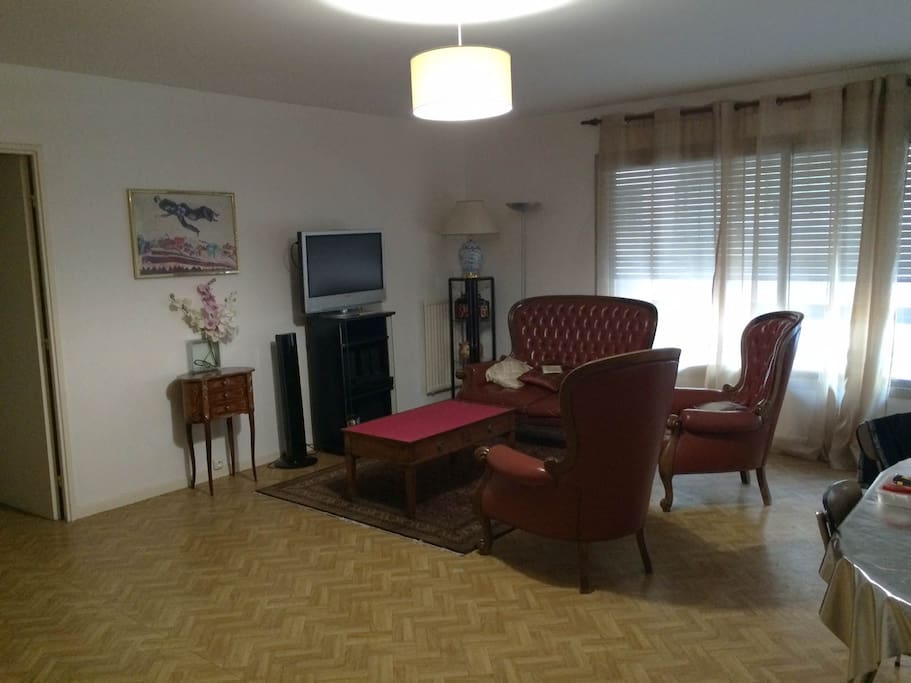 Salon avec TV cablée