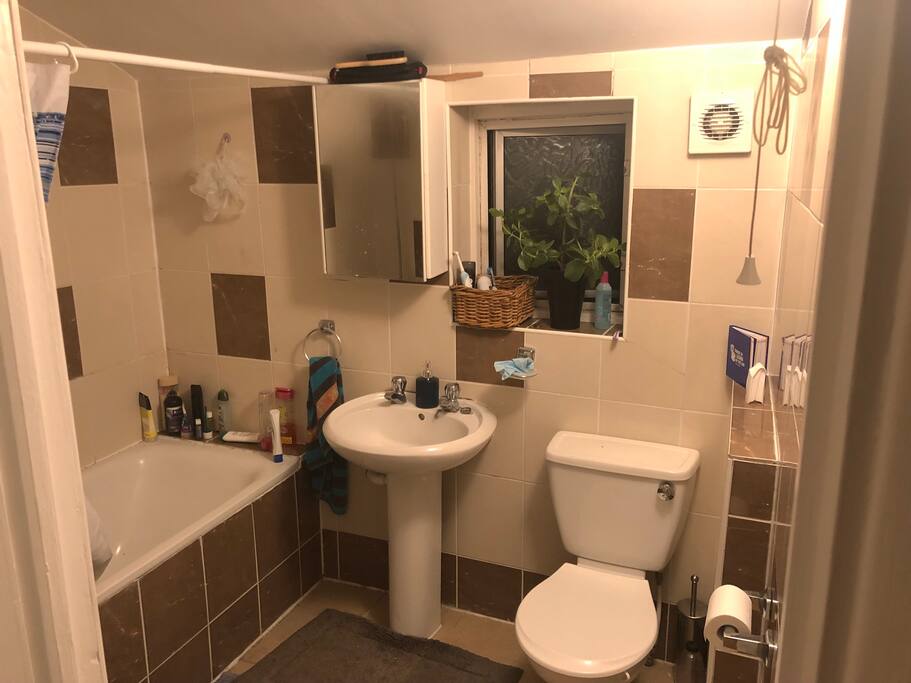 One of the Bathrooms