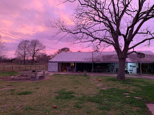 Homey 19 Acre Homestead Room for Rent