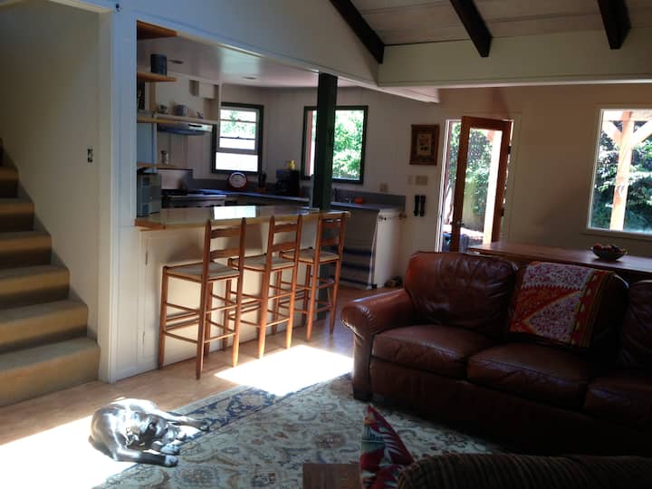 Charming Tam Valley Home Houses for Rent in Mill Valley, California