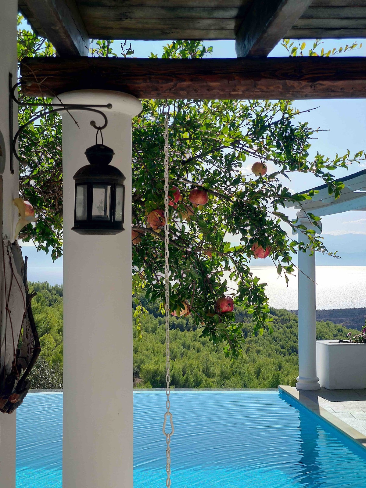 A hanging lantern is seen alongside a branch adorned with pomegranates. The scene is framed by a white column, leading towards a tranquil pool with reflection of blue skies and distant hills, creating a serene atmosphere.