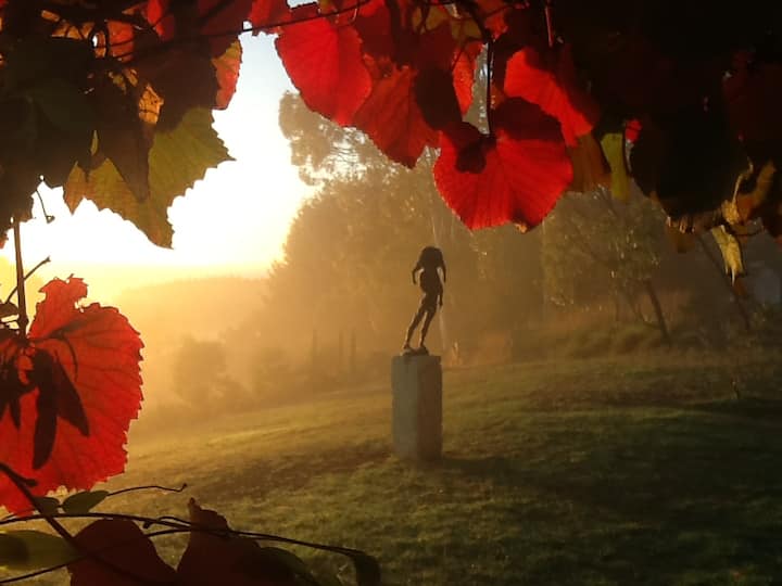 Wyndbourne Park B&b - Charleston