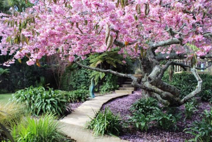 Cherry Tree House Seclusion By The River Guest Suites For Rent In New Plymouth Taranaki New Zealand