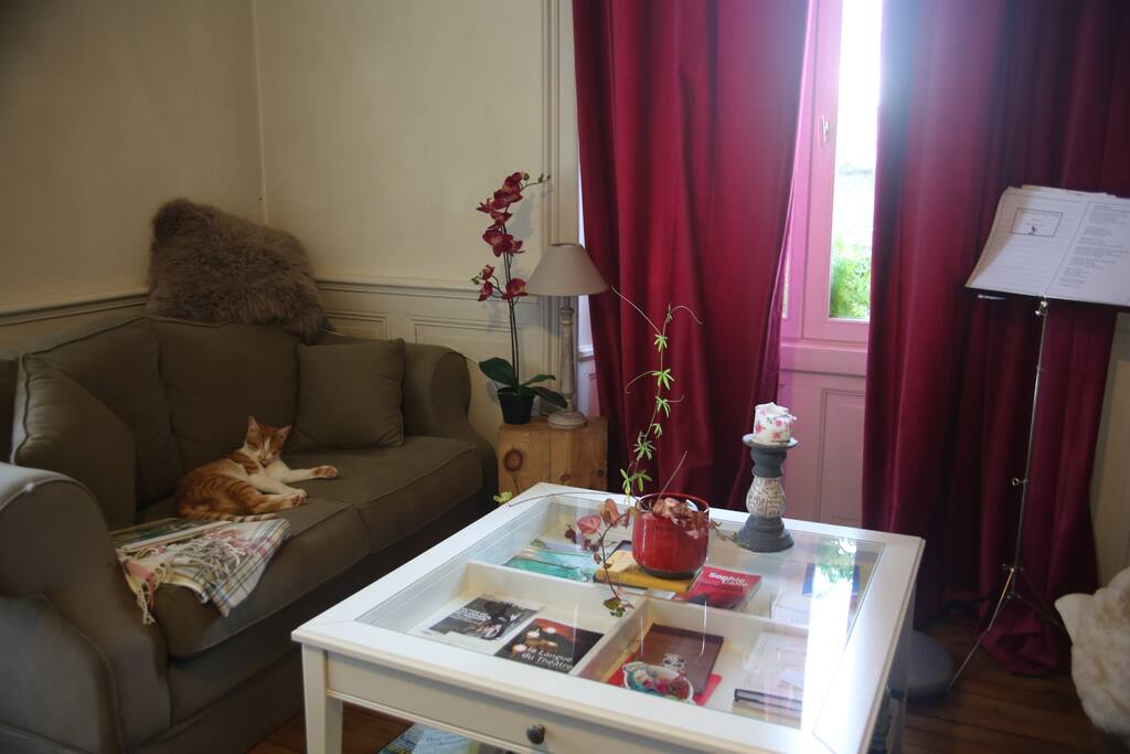 salon avec deux grands canapés et un fauteuil . Vue sans vis à vis. grandes fenêtres dans tout l'appartement et grande hauteur sous plafond