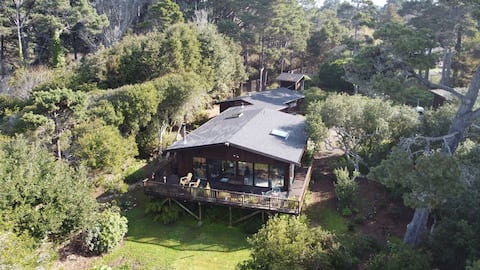 Judy's Rhododendron Retreat