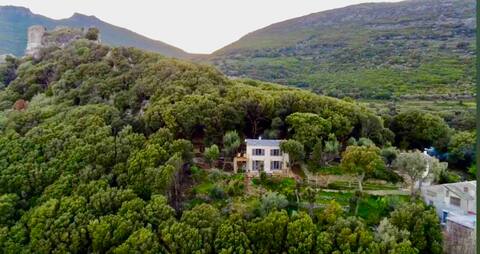 House Amazing View