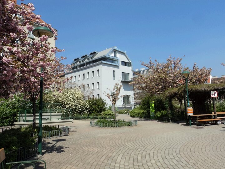 A peaceful courtyard is surrounded by blossoming trees and lush greenery. A circular stone path leads through the area, with benches positioned along the edges. The modern building in the background contrasts with the natural elements, creating a balanced outdoor space.