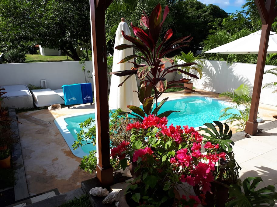 Another angle of front patio . looking unto pool