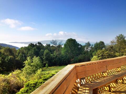 Ohiopyle's best views & 40 quiet acres!