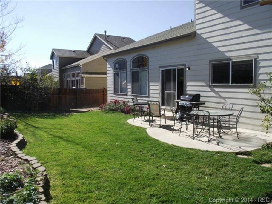 Backyard in the Spring