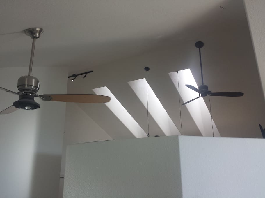 Skylight view from living room.