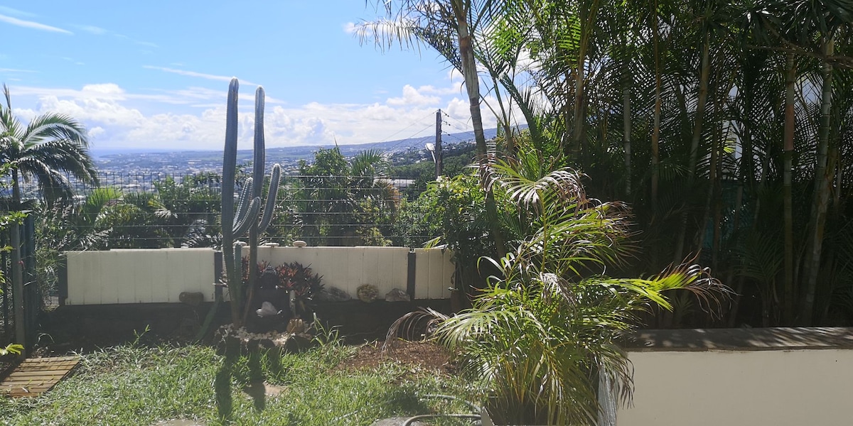 A lush garden area is depicted, showcasing various tropical plants and a tall cactus. A view of the surrounding landscape can be seen in the background, framed by palm trees and other greenery. The space invites a sense of tranquility and connection with nature.