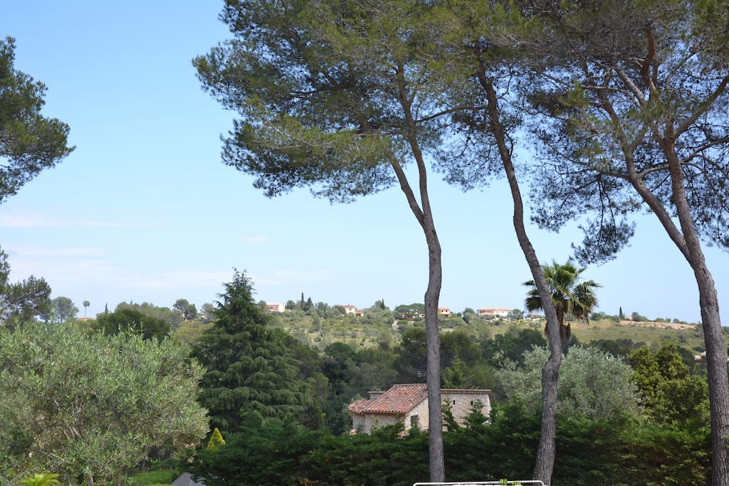 Vue panoramique depuis la piscine