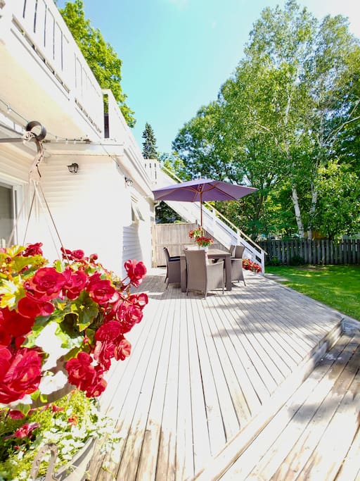 Lot's of flowers and large yard to enjoy during your stay.