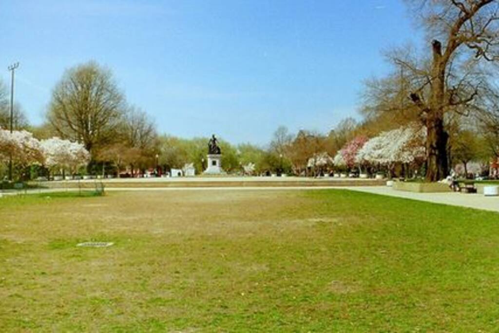 Steps to Lincoln Park.......