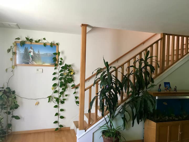 Davis Vacation Rentals Airbnb