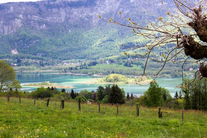 Lépin-le-Lac : locations de vacances et logements - Auvergne-Rhône-Alpes,  France | Airbnb