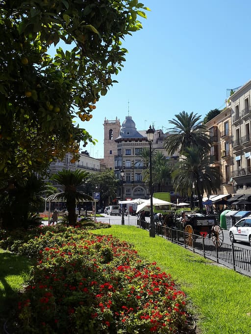 Plaza de la Reina ( Centro Turístico de Valencia) a 3 min de este alojamiento.