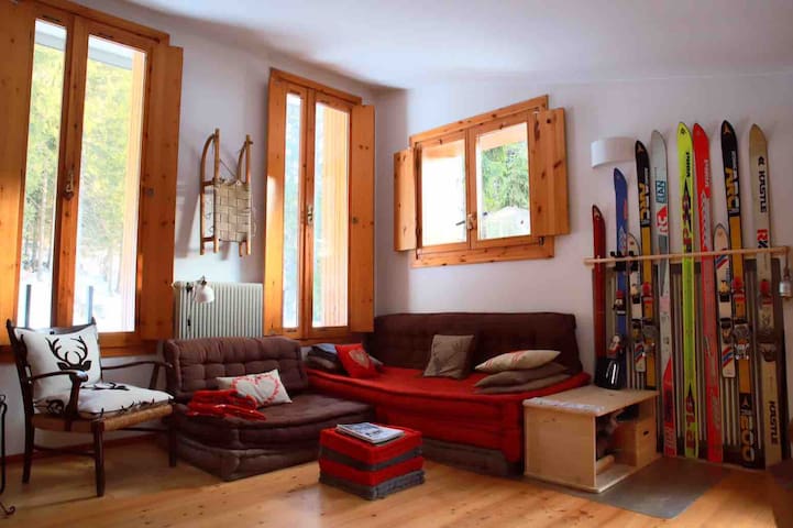 Lovely Ski in/ski out flat / Amazing View