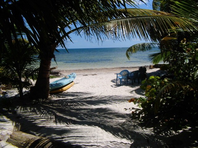A sandy beach area is visible, framed by lush palm trees and tropical vegetation. A kayak rests on the sand, while a small seating arrangement of chairs is positioned nearby, offering a view of the calm, blue waters. Sunlight creates gentle patterns on the ground.