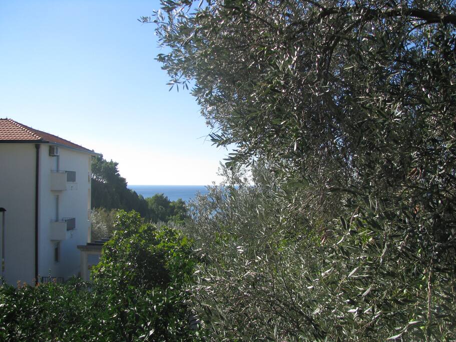 View from the sleeping room