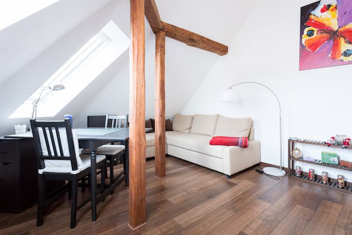 Mini Loft Im Herzen Hannovers Wohnungen Zur Miete In Hannover Niedersachsen Deutschland