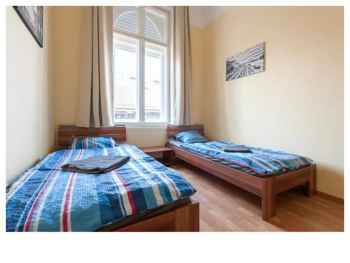 Bedroom 5 has got 2 comfortable single beds.