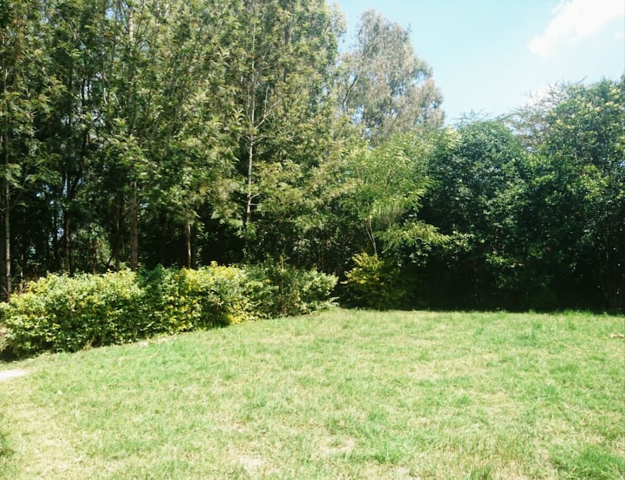 Green gardens perfect for sunbathing and bird watching.