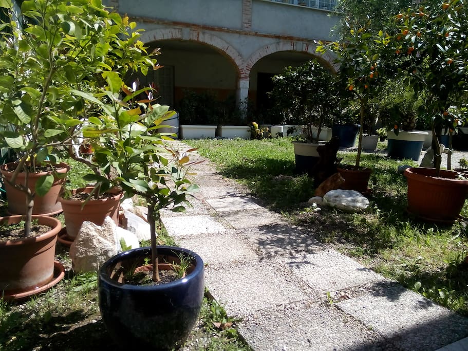 entry