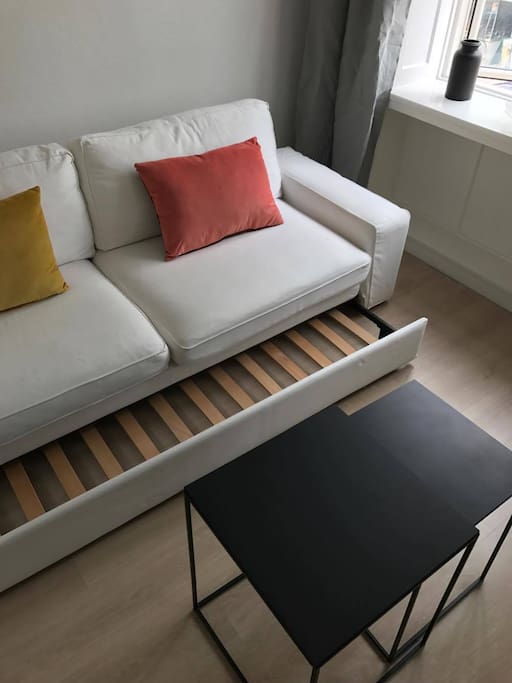 Sofa pulls out to extra sleeping space.