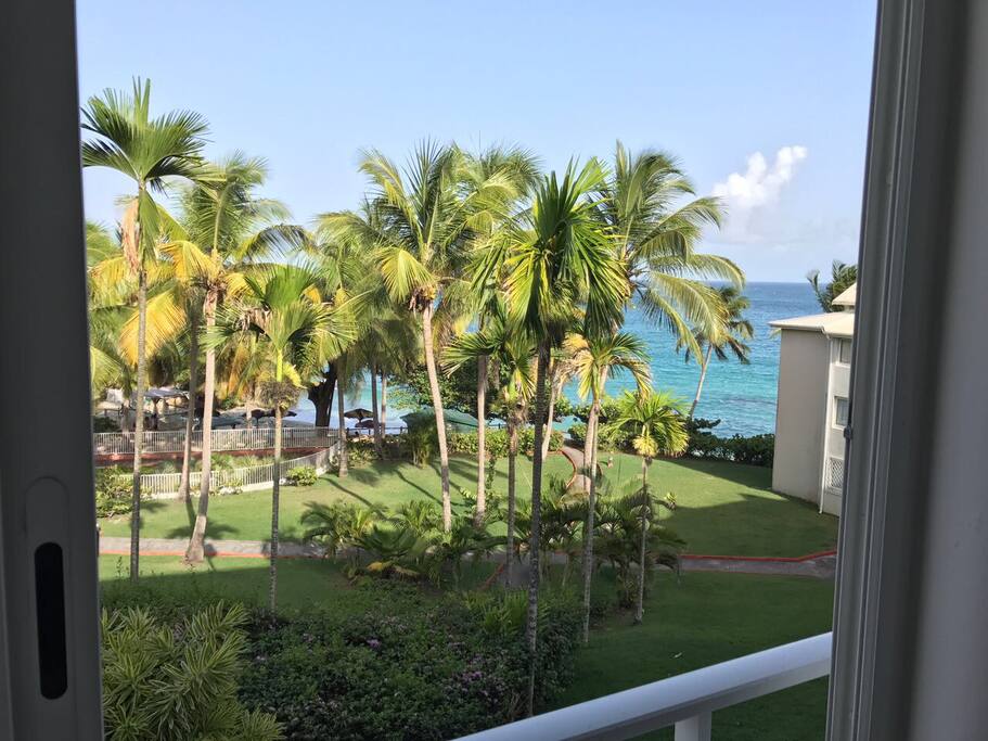 From the studio, wide window to enjoy the restful view on the gardens and the sea